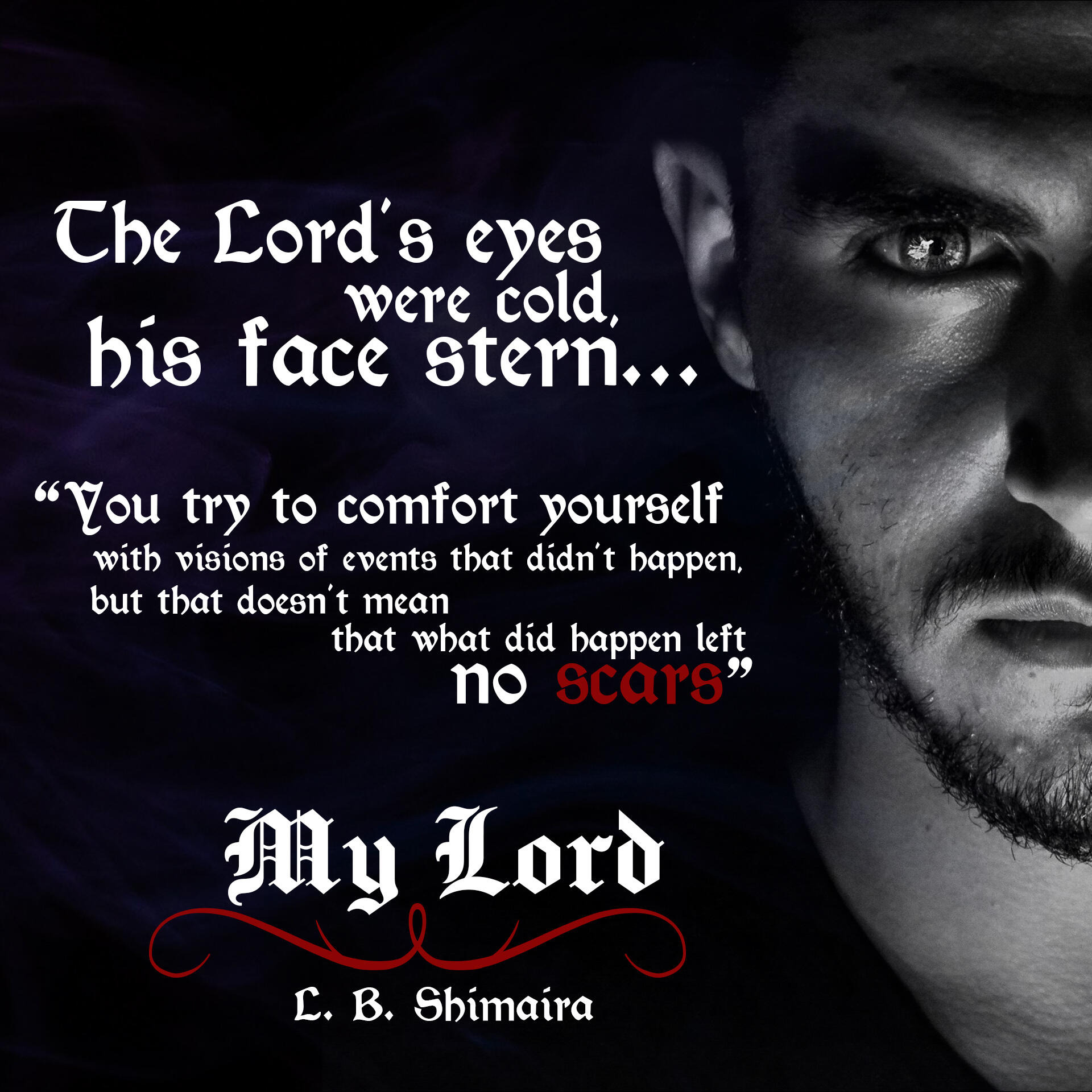 The Lord's eyes were cold, his face stern. "You try to comfort yourself with visions of events that didn't happen, but that doesn't mean that what did happen left no scars." ~ Quote from My Lord by L.B. Shimaira